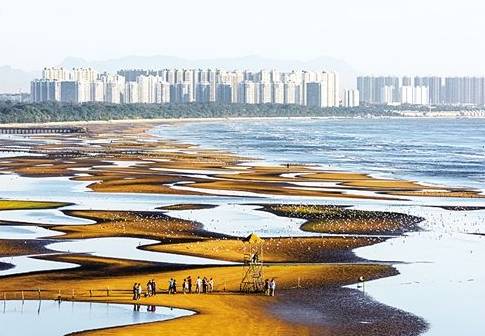 全域旅游爆發下國內旅游新消費特征探析