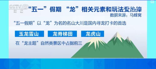 非遺之旅尋龍游掀熱潮，假日旅游市場供需兩旺展新顏